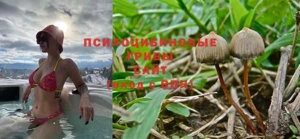 MDMA Premium VHQ Михайловка